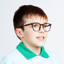 Load image into Gallery viewer, Dalston Tortoise Boy
