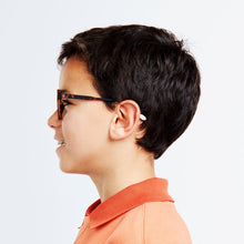 Load image into Gallery viewer, Le Marais Tortoise Boy
