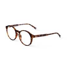 Load image into Gallery viewer, Le Marais Tortoise Boy
